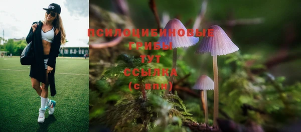 мяу мяу кристалл Богородицк