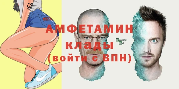 индика Богданович