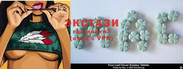 индика Богданович