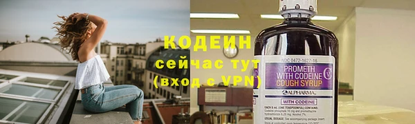 индика Богданович