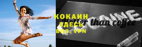 прущие крисы Бородино