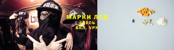 прущие грибы Бугульма