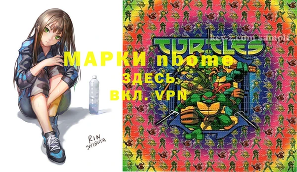 прущие грибы Бугульма