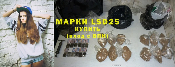 индика Богданович