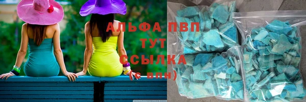 прущие грибы Бугульма
