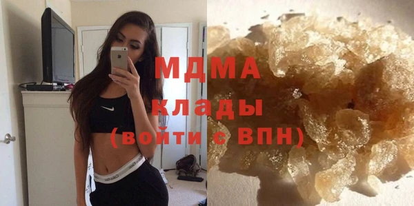 индика Богданович